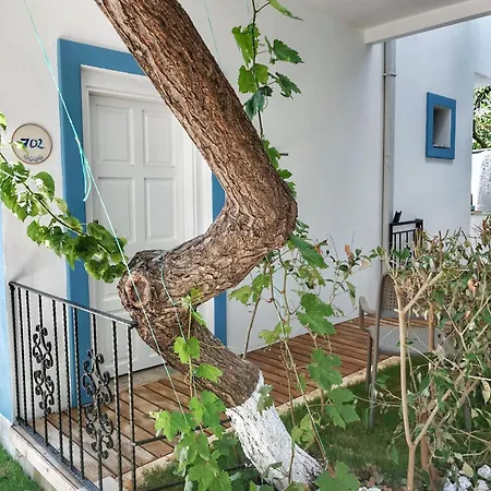 Payam 4* Kaş