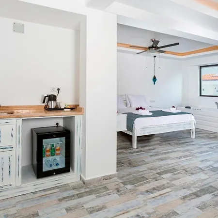 酒店 帕亚姆酒店 3*