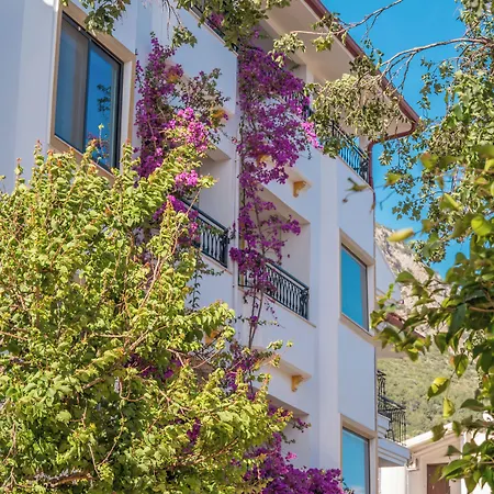 Отель Payam Каш