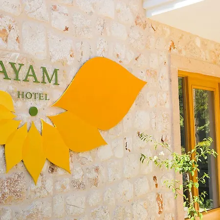 ホテル Payam