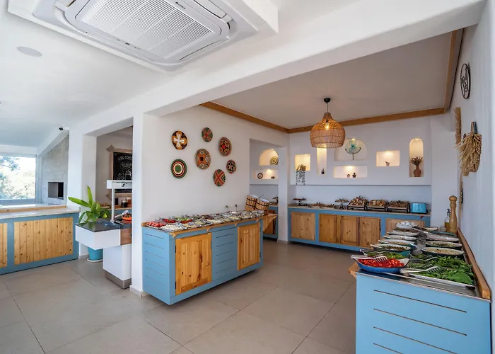 酒店 帕亚姆酒店 3*